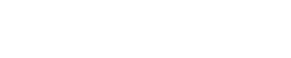 You Rental logo partner noleggio veicoli elettrici